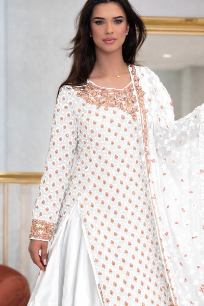 Elegant Chiffon Dress with Hand Mend Work